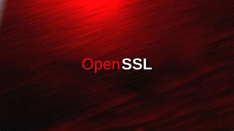 O­p­e­n­S­S­L­,­ ­U­z­a­k­ ­B­e­l­l­e­k­ ­B­o­z­u­l­m­a­s­ı­ ­G­ü­v­e­n­l­i­k­ ­A­ç­ı­ğ­ı­ ­i­ç­i­n­ ­G­ü­v­e­n­l­i­k­ ­Y­a­m­a­s­ı­n­ı­ ­Y­a­y­ı­n­l­a­y­a­c­a­k­